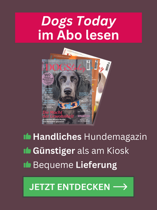 DT Aboteaser